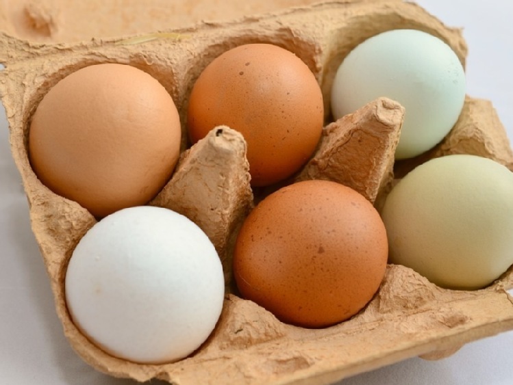 Polski eksport jaj spożywczych w szczycie afery fipronilowej
